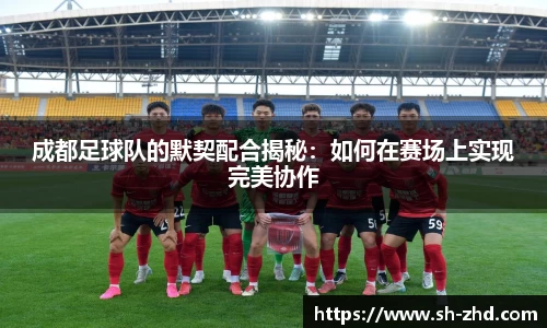 成都足球队的默契配合揭秘：如何在赛场上实现完美协作
