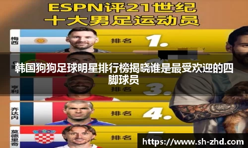 韩国狗狗足球明星排行榜揭晓谁是最受欢迎的四脚球员
