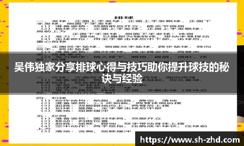 吴伟独家分享排球心得与技巧助你提升球技的秘诀与经验