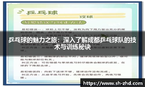 乒乓球的魅力之旅：深入了解成都乒乓球队的技术与训练秘诀